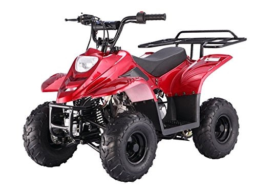 Tao ATV 110cc